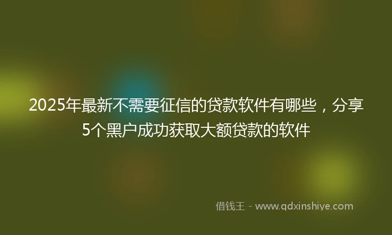 2025年最新不需要征信的贷款软件有哪些，分享5个黑户成功获取大额贷款的软件