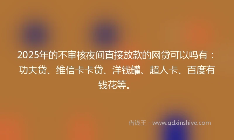 2025年的不审核夜间直接放款的网贷可以吗有：功夫贷、维信卡卡贷、洋钱罐、超人卡、百度有钱花等。