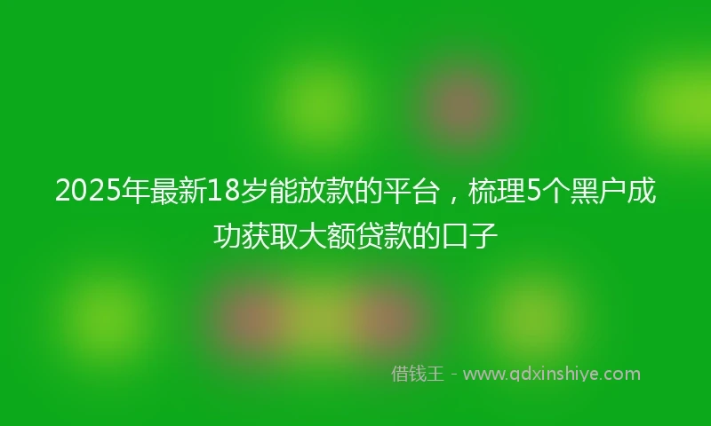 2025年最新18岁能放款的平台，梳理5个黑户成功获取大额贷款的口子
