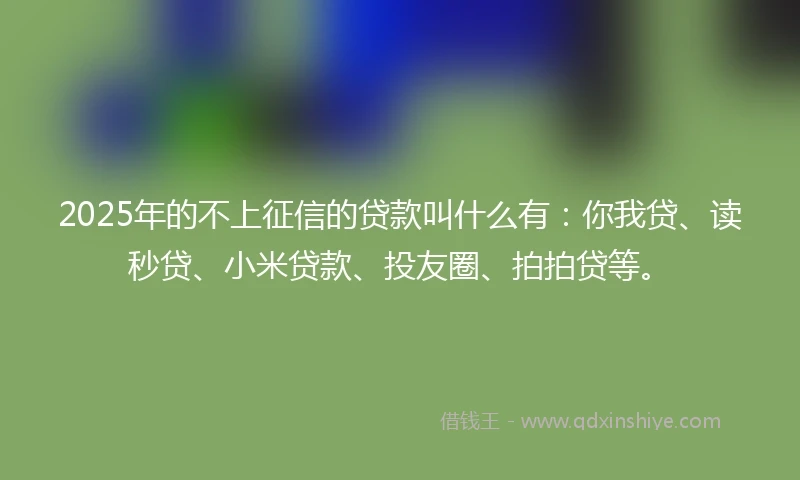 2025年的不上征信的贷款叫什么有：你我贷、读秒贷、小米贷款、投友圈、拍拍贷等。