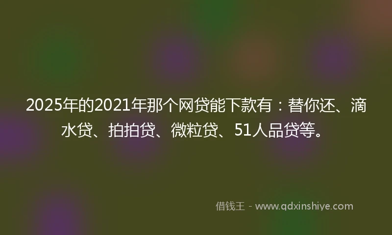 2025年的2021年那个网贷能下款有：替你还、滴水贷、拍拍贷、微粒贷、51人品贷等。