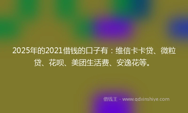 2025年的2021借钱的口子有：维信卡卡贷、微粒贷、花呗、美团生活费、安逸花等。