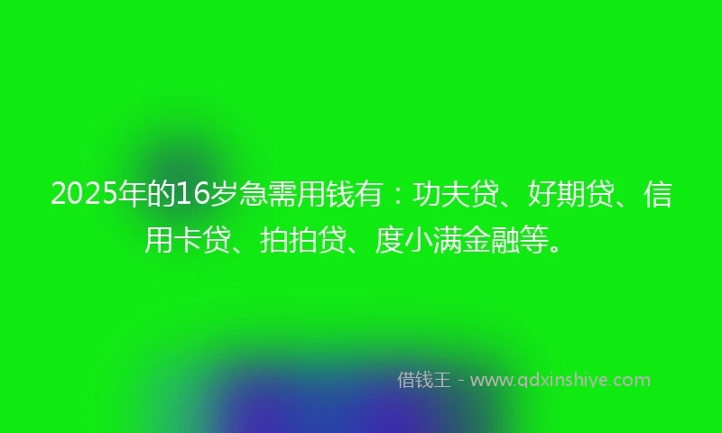 2025年的16岁急需用钱有：功夫贷、好期贷、信用卡贷、拍拍贷、度小满金融等。