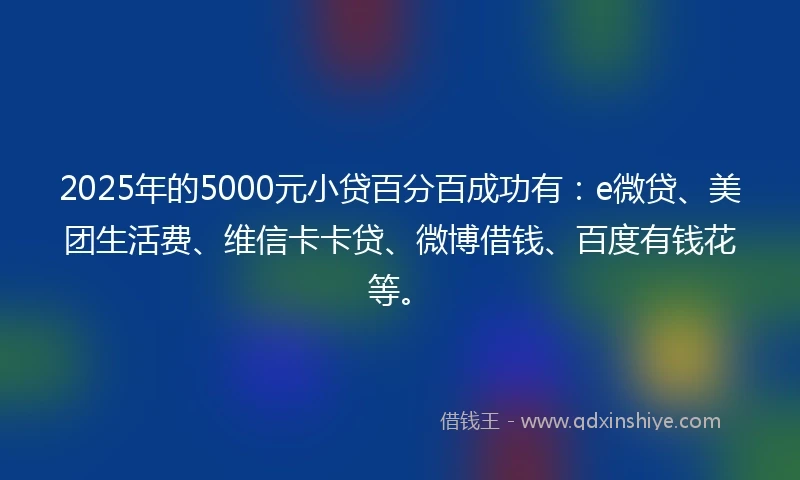 2025年的5000元小贷百分百成功有：e微贷、美团生活费、维信卡卡贷、微博借钱、百度有钱花等。