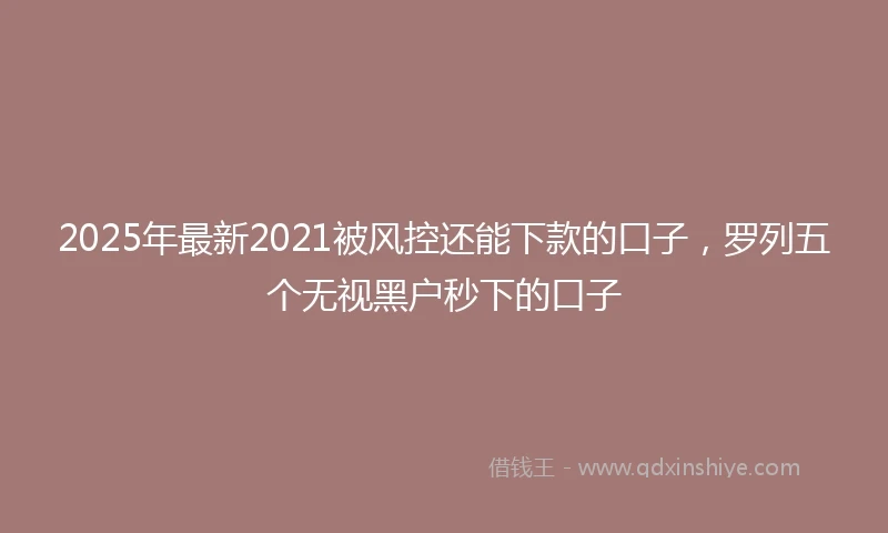 2025年最新2021被风控还能下款的口子，罗列五个无视黑户秒下的口子