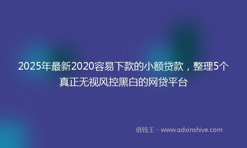 2025年最新2020容易下款的小额贷款，整理5个真正无视风控黑白的网贷平台