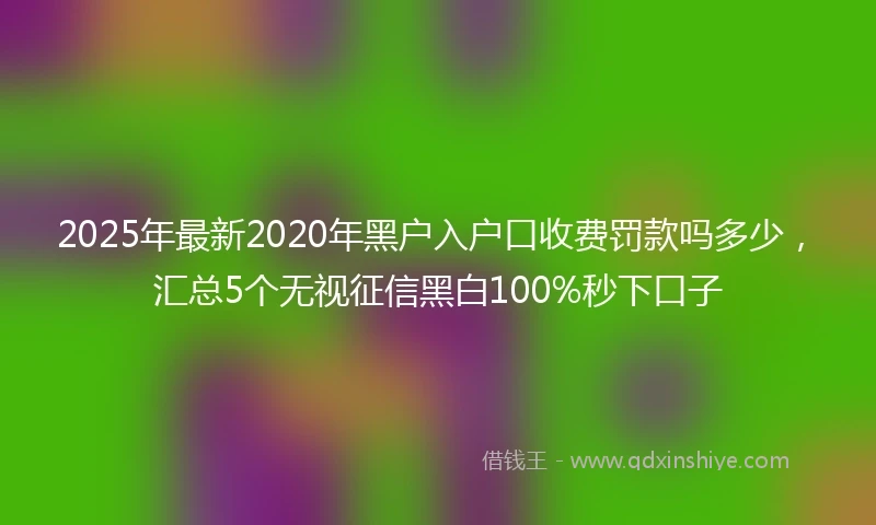 2025年最新2020年黑户入户口收费罚款吗多少，汇总5个无视征信黑白100%秒下口子