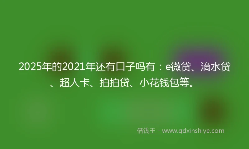 2025年的2021年还有口子吗有：e微贷、滴水贷、超人卡、拍拍贷、小花钱包等。