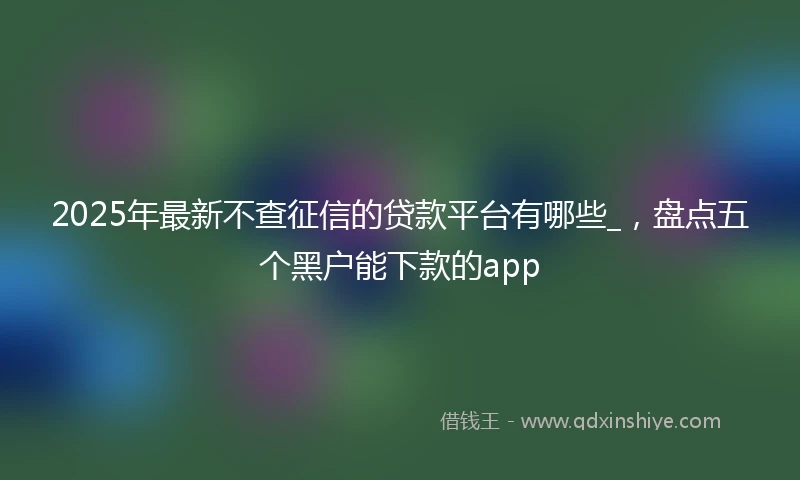 2025年最新不查征信的贷款平台有哪些_，盘点五个黑户能下款的app