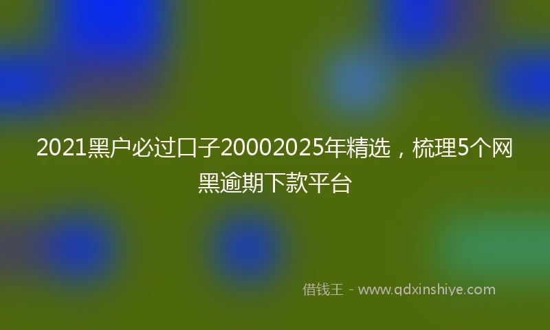 2021黑户必过口子20002025年精选，梳理5个网黑逾期下款平台