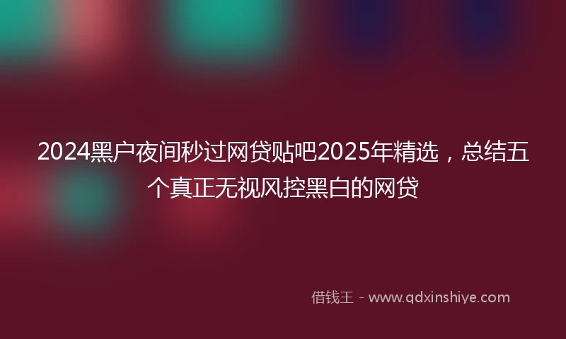 2024黑户夜间秒过网贷贴吧2025年精选，总结五个真正无视风控黑白的网贷