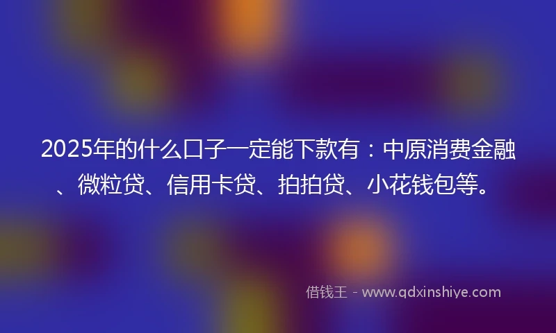 2025年的什么口子一定能下款有：中原消费金融、微粒贷、信用卡贷、拍拍贷、小花钱包等。