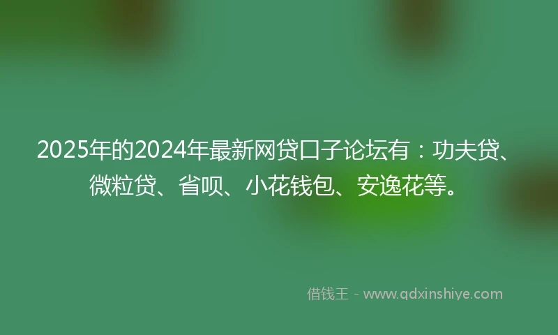 2025年的2024年最新网贷口子论坛有：功夫贷、微粒贷、省呗、小花钱包、安逸花等。