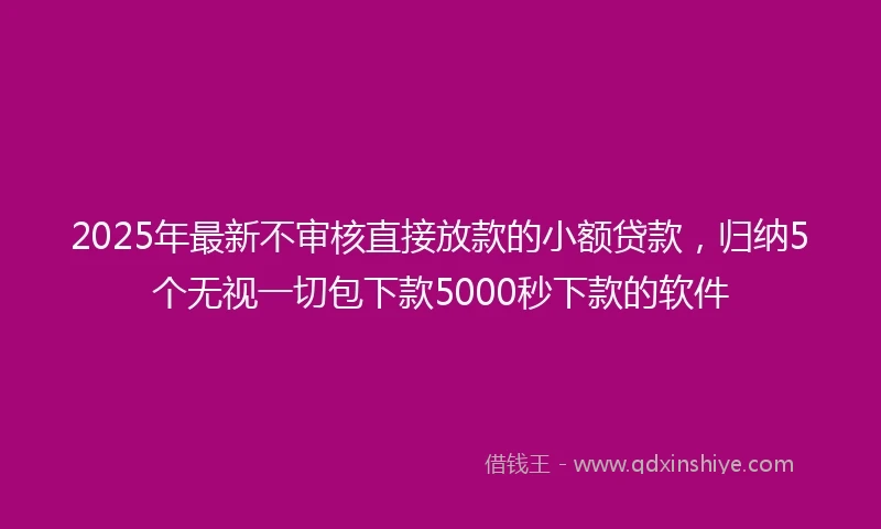 2025年最新不审核直接放款的小额贷款，归纳5个无视一切包下款5000秒下款的软件