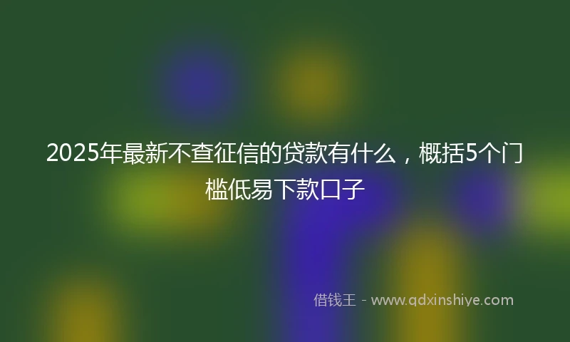 2025年最新不查征信的贷款有什么，概括5个门槛低易下款口子