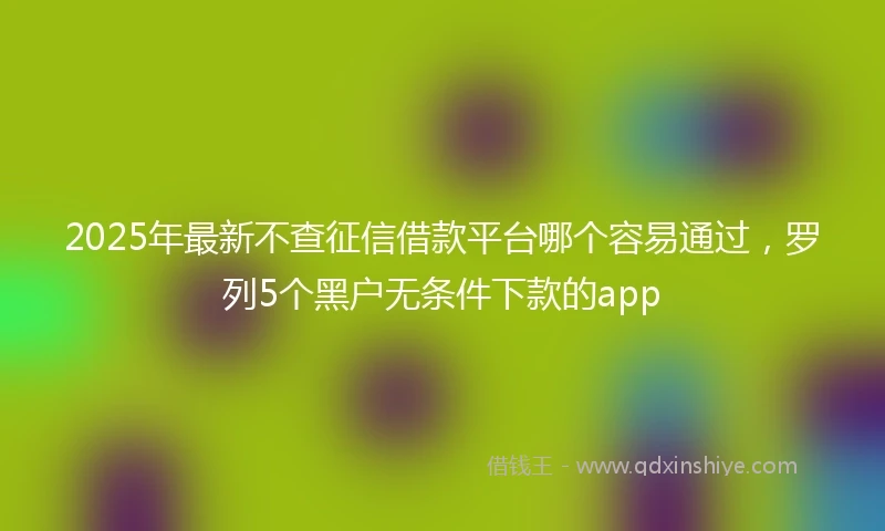 2025年最新不查征信借款平台哪个容易通过，罗列5个黑户无条件下款的app