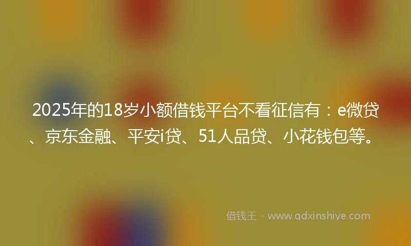 2025年的18岁小额借钱平台不看征信有：e微贷、京东金融、平安i贷、51人品贷、小花钱包等。