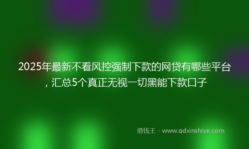 2025年最新不看风控强制下款的网贷有哪些平台，汇总5个真正无视一切黑能下款口子