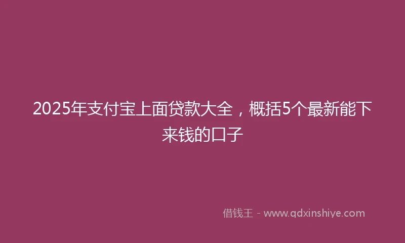 2025年支付宝上面贷款大全，概括5个最新能下来钱的口子