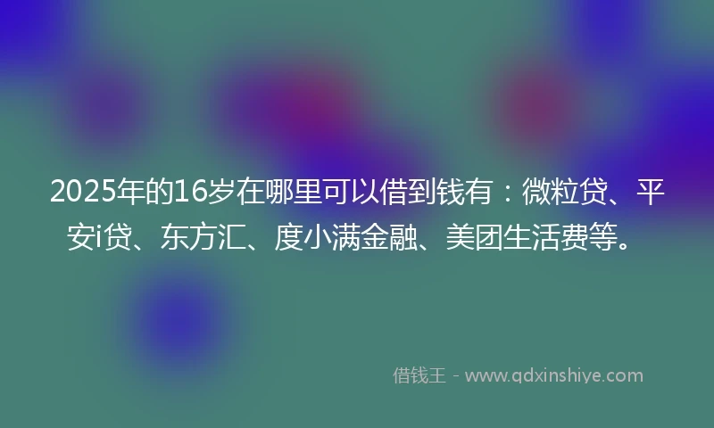 2025年的16岁在哪里可以借到钱有：微粒贷、平安i贷、东方汇、度小满金融、美团生活费等。