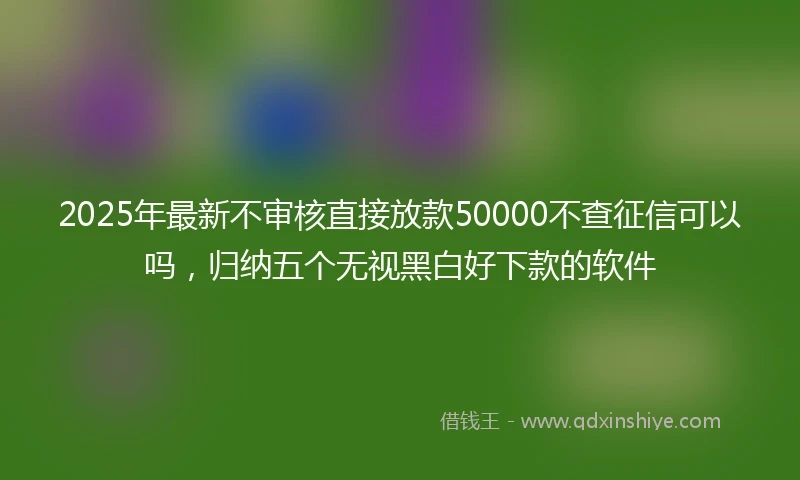 2025年最新不审核直接放款50000不查征信可以吗，归纳五个无视黑白好下款的软件