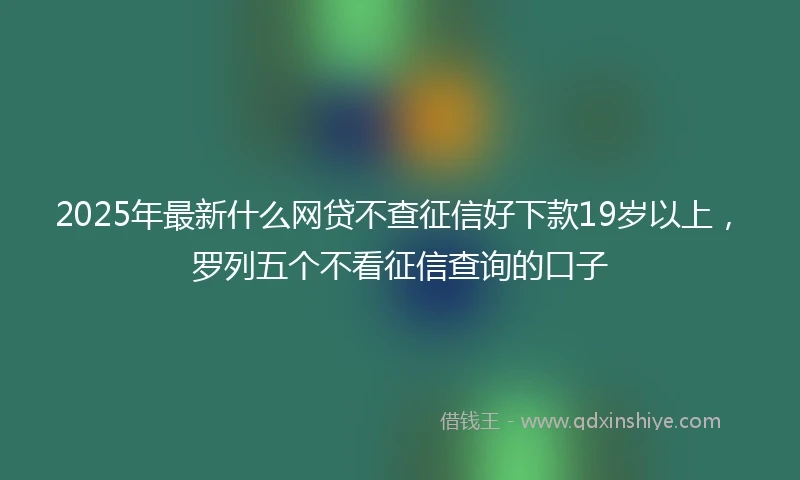 2025年最新什么网贷不查征信好下款19岁以上，罗列五个不看征信查询的口子