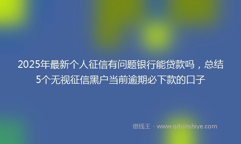 2025年最新个人征信有问题银行能贷款吗，总结5个无视征信黑户当前逾期必下款的口子