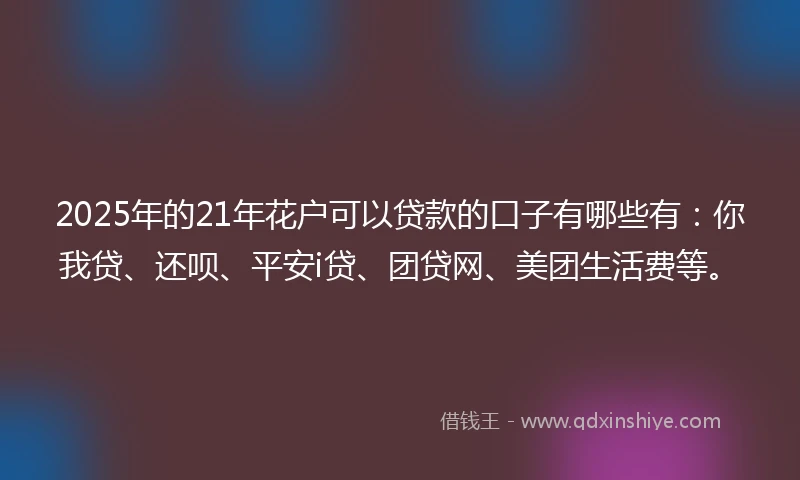 2025年的21年花户可以贷款的口子有哪些有：你我贷、还呗、平安i贷、团贷网、美团生活费等。