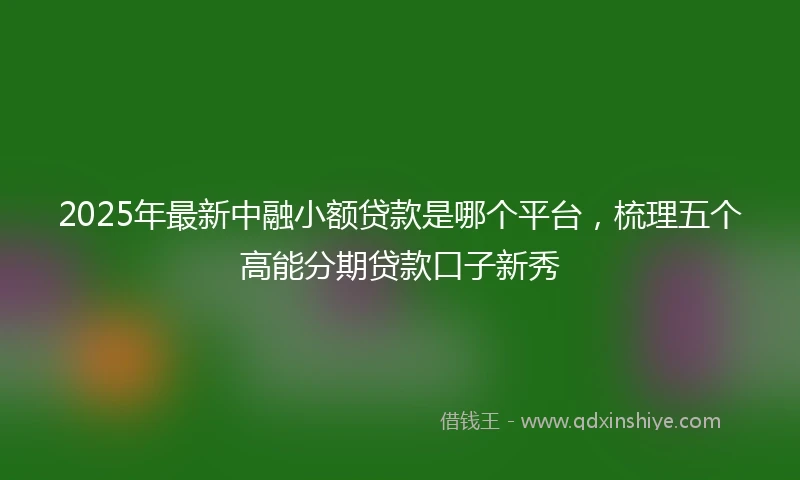 2025年最新中融小额贷款是哪个平台，梳理五个高能分期贷款口子新秀