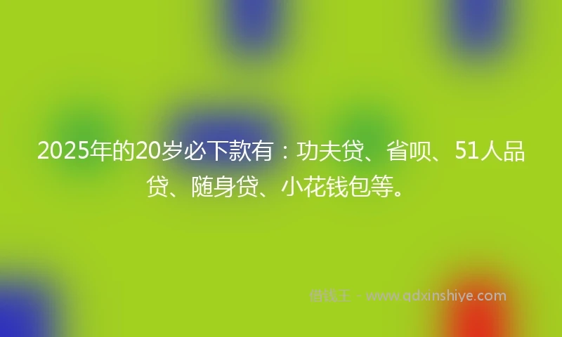 2025年的20岁必下款有：功夫贷、省呗、51人品贷、随身贷、小花钱包等。