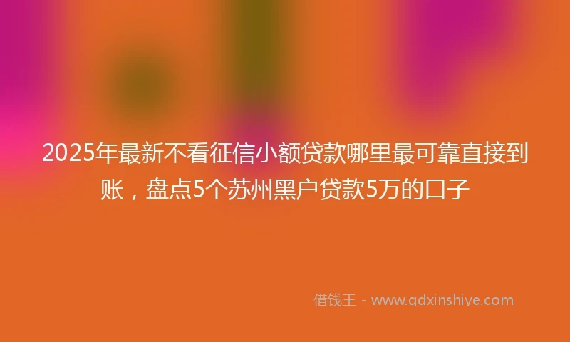 2025年最新不看征信小额贷款哪里最可靠直接到账，盘点5个苏州黑户贷款5万的口子