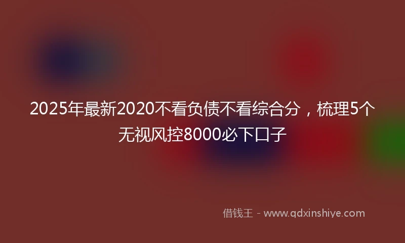 2025年最新2020不看负债不看综合分，梳理5个无视风控8000必下口子