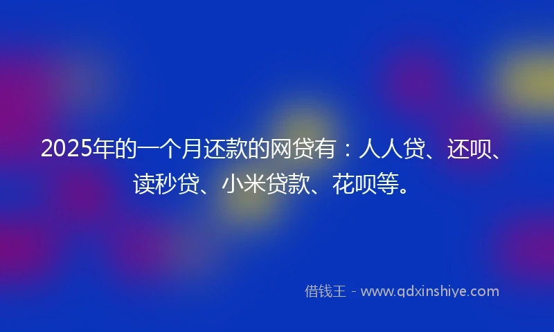 2025年的一个月还款的网贷有：人人贷、还呗、读秒贷、小米贷款、花呗等。