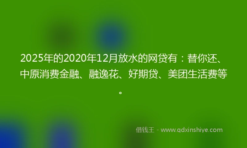2025年的2020年12月放水的网贷有：替你还、中原消费金融、融逸花、好期贷、美团生活费等。
