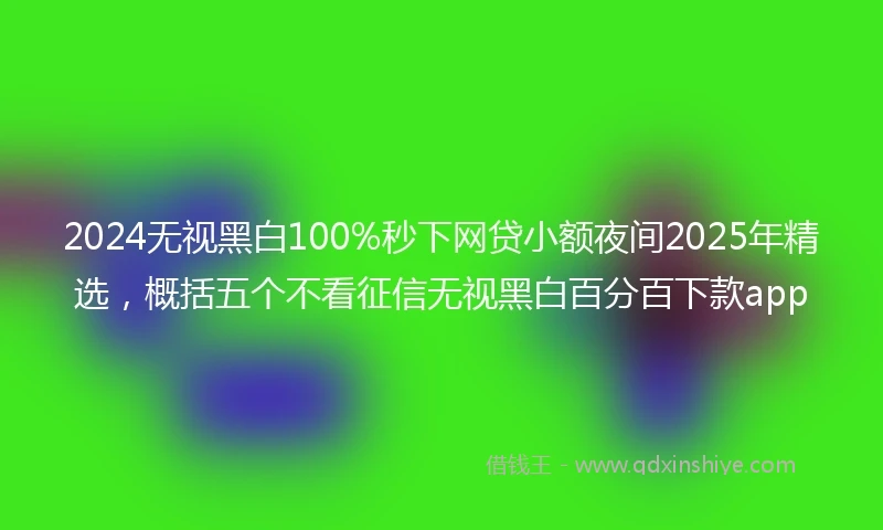 2024无视黑白100%秒下网贷小额夜间2025年精选，概括五个不看征信无视黑白百分百下款app