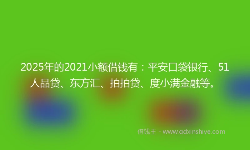 2025年的2021小额借钱有：平安口袋银行、51人品贷、东方汇、拍拍贷、度小满金融等。
