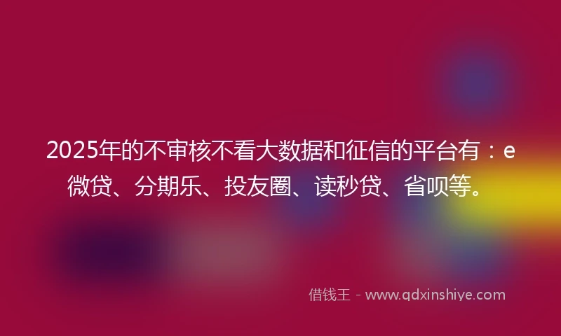 2025年的不审核不看大数据和征信的平台有：e微贷、分期乐、投友圈、读秒贷、省呗等。