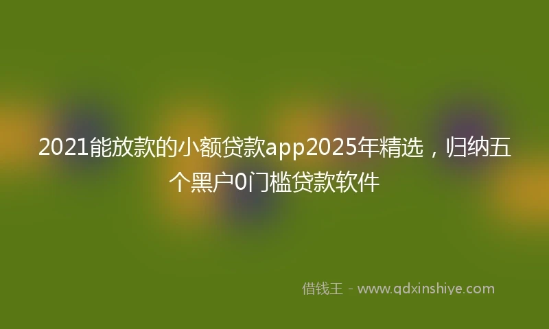 2021能放款的小额贷款app2025年精选，归纳五个黑户0门槛贷款软件