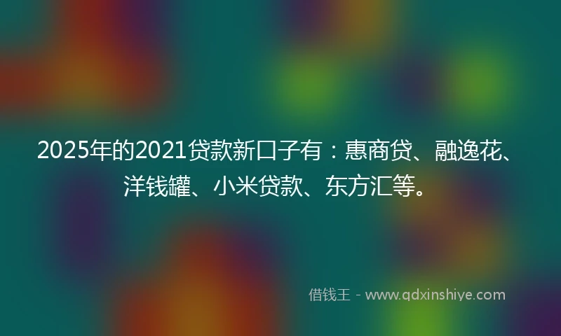 2025年的2021贷款新口子有：惠商贷、融逸花、洋钱罐、小米贷款、东方汇等。