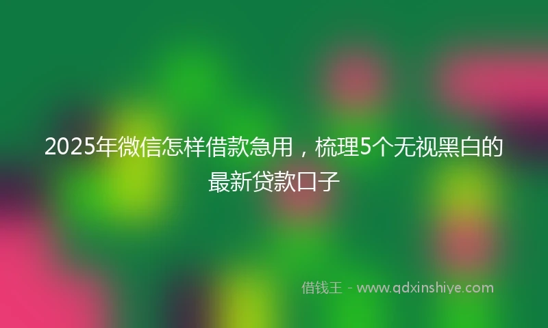 2025年微信怎样借款急用，梳理5个无视黑白的最新贷款口子