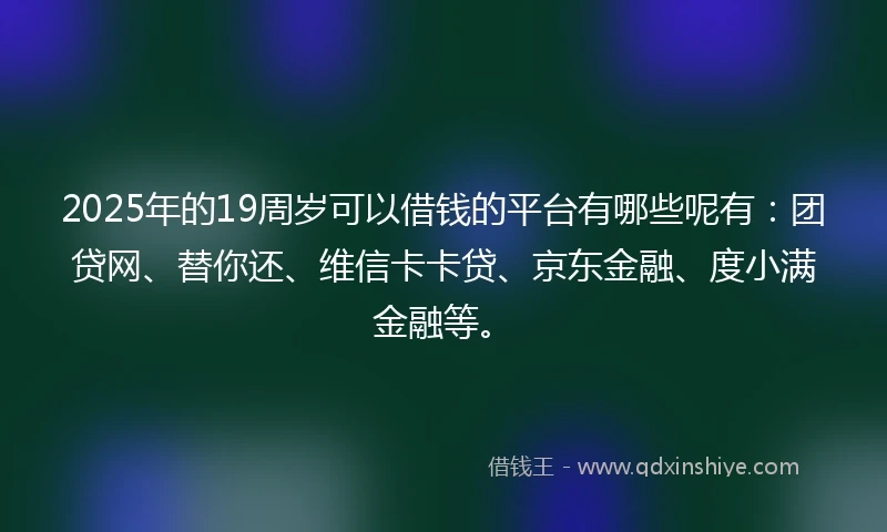 2025年的19周岁可以借钱的平台有哪些呢有：团贷网、替你还、维信卡卡贷、京东金融、度小满金融等。