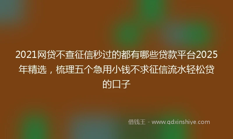 2021网贷不查征信秒过的都有哪些贷款平台2025年精选，梳理五个急用小钱不求征信流水轻松贷的口子