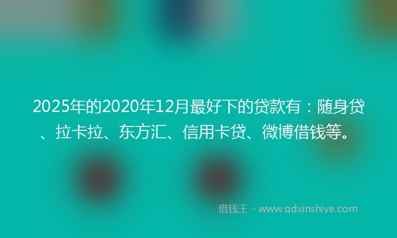 2025年的2020年12月最好下的贷款有：随身贷、拉卡拉、东方汇、信用卡贷、微博借钱等。