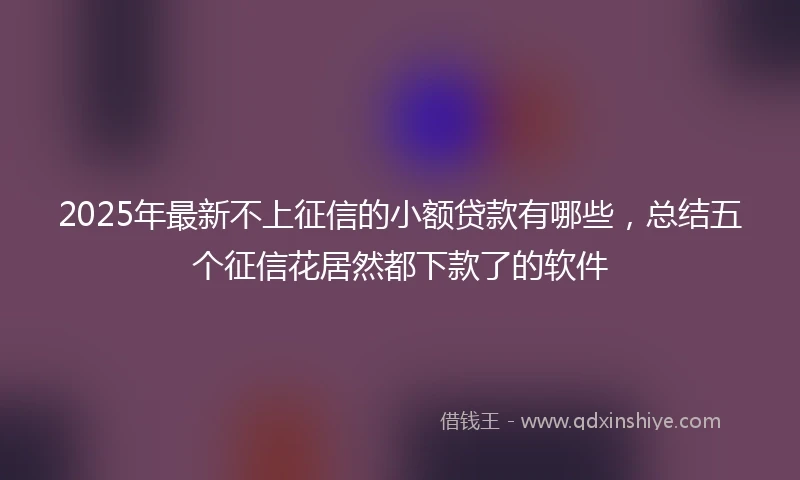 2025年最新不上征信的小额贷款有哪些，总结五个征信花居然都下款了的软件
