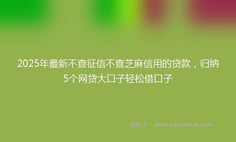 2025年最新不查征信不查芝麻信用的贷款，归纳5个网贷大口子轻松借口子
