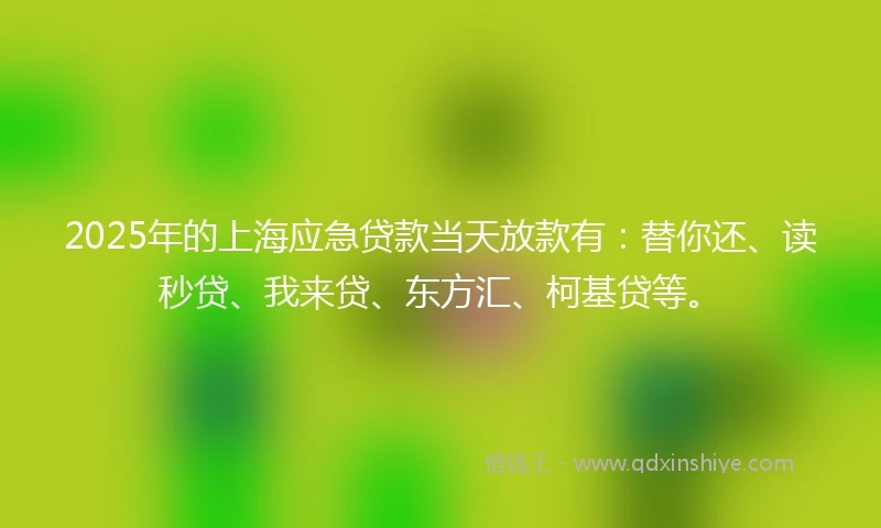 2025年的上海应急贷款当天放款有：替你还、读秒贷、我来贷、东方汇、柯基贷等。