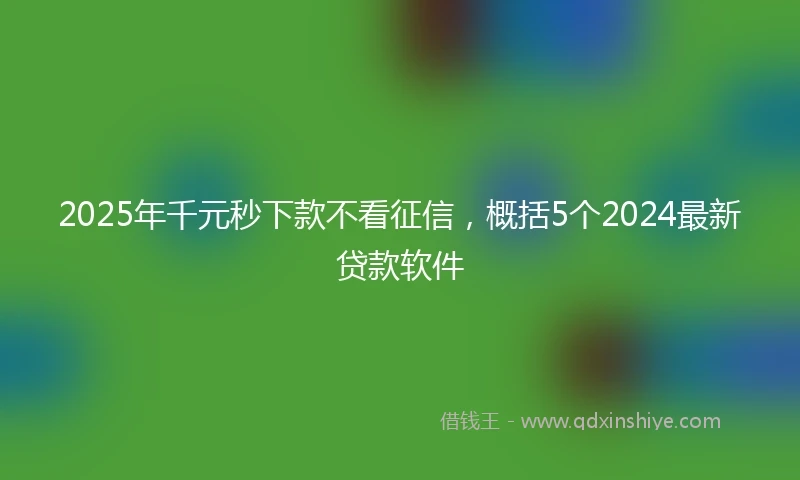 2025年千元秒下款不看征信，概括5个2024最新贷款软件