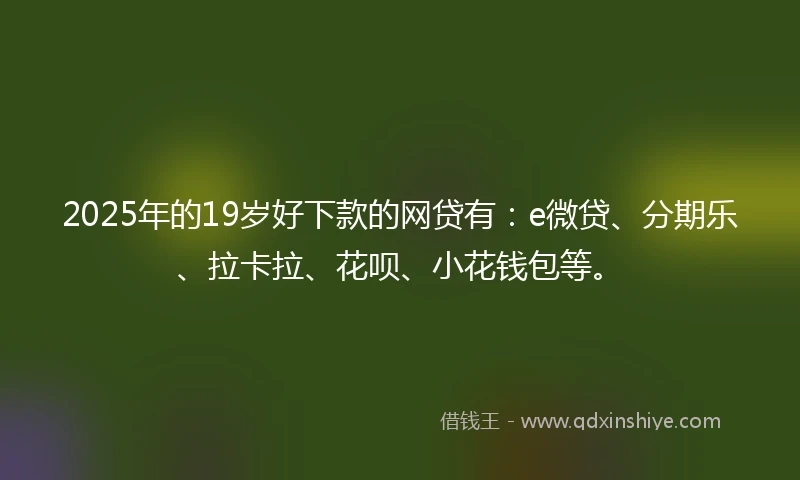 2025年的19岁好下款的网贷有：e微贷、分期乐、拉卡拉、花呗、小花钱包等。