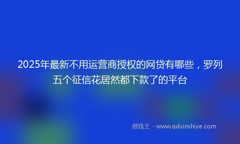 2025年最新不用运营商授权的网贷有哪些，罗列五个征信花居然都下款了的平台