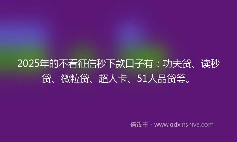 2025年的不看征信秒下款口子有：功夫贷、读秒贷、微粒贷、超人卡、51人品贷等。